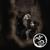 Dancing the Night Away - Jesters Grace