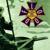 Istanbul (Not Constantinople) - They Might Be Giants