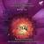 Surrender at 432 Hz - Rakesh Chaurasia