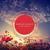 Falling (Dave Neven presents OCATA Remix) (Mixed) - First State
