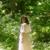 Söz Verdim - Nahide Babashli