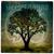 Cam Ye O'er Frae France - Steeleye Span