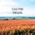 Fields - 12xLITRE