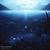 Beautiful, Cold View - Dark Life Note