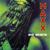 No More (I Can't Stand It) (Club Mix) - Maxx
