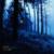 forest - lifedd3