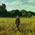 strangers again - Matt Hansen