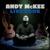 Rylynn - Andy McKee
