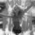 MALA FAMA MYLANCORE - TEENWXVE