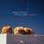 Piedras y Rosas (Blank & Jones Balearic Relax Remix) - Josete Ordonez