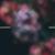 Unsaid - Conspiracy
