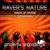 Hands up Ravers - Raver's Nature