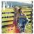 Cover Me In Sunshine - Willow Sage Hart