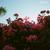 ILYSB - Lany
