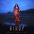 Winter - Birdy