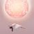 Heartsigh - Purity Ring