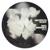 Nanogram - xyiz