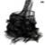 Brood 10 - Brood X Cycles
