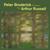 You Can Make Me Feel Bad - Peter Broderick