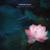 Lotus Rising - Chronotope Project