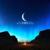 Wilderness - Ryan Farish