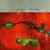 The Comforter - LISA GERRARD