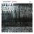 Mixed Blessing - Dominic Miller