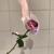 I Hate Everything About You - Longlost