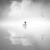 Memory Cue - Aukai