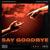 Say Goodbye (feat. Marvin Divine) [NCS Release] - Unknown Brain