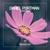 Vulnerable - Daniel Portman