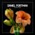 Pillow Talk - Daniel Portman