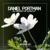 Nobody Else (Extended Mix) - Daniel Portman