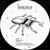 For You - Roe Deers