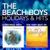 Santa's Got An Airplane - The Beach Boys