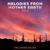 Embarking on the Vision Quest - The Jupiter Factor
