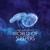Erratic Patterns - Carbon Based Lifeforms