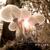 The Light - Jamie Lewis