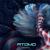 Happiness - Atomo