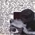 Albion - Babyshambles