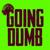 Going Dumb (with Stray Kids) - Stray Kids