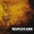 Immaculate - Despised Icon