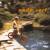 Icebox - Nada Surf