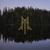 Beholdinge, He... - Wolcensmen