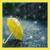 When The Rain Stops - Honey Apple
