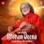 Drut Gat in Ektaal - Raga Bihag - Ektaal - Pandit Vishwa Mohan Bhatt