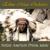 Fly With the Eagle - Ethno Music Orchestra