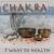 Sacral Chakra Meditation - Pilates Music Ensemble