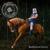 In Bloom - Steve 'n' Seagulls
