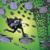 Woodstock Jam - Joe Satriani